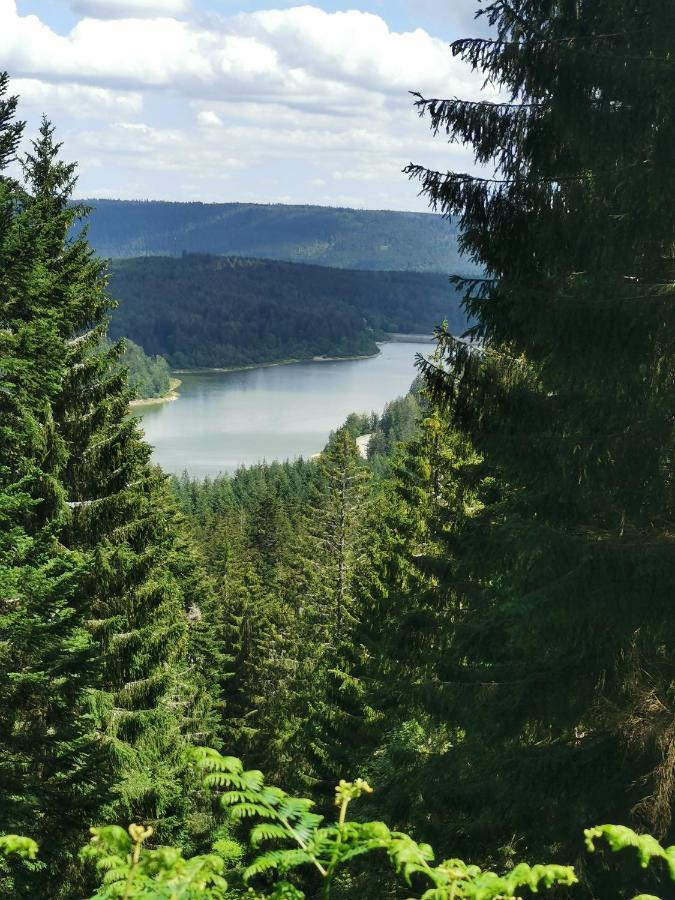 Appartamento Naehe Nationalpark Baiersbronn Esterno foto