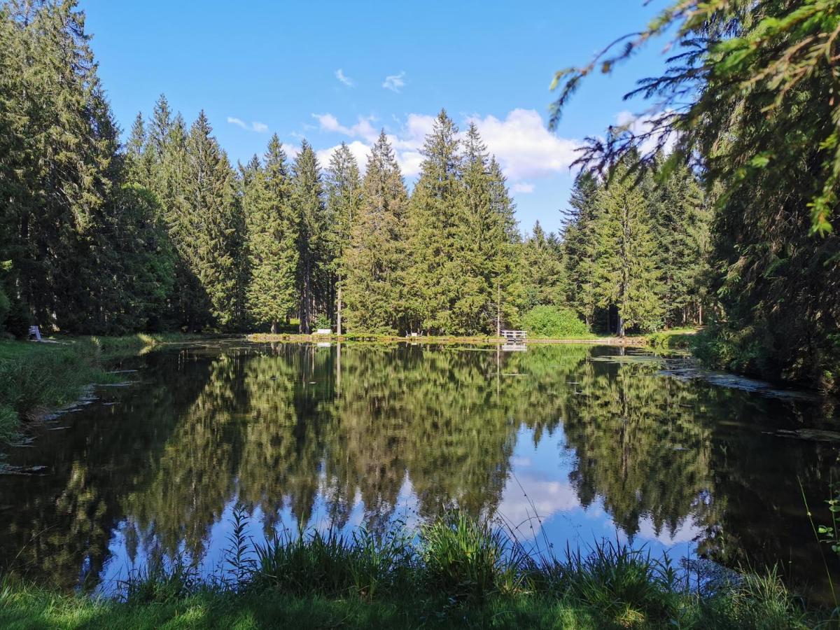 Appartamento Naehe Nationalpark Baiersbronn Esterno foto