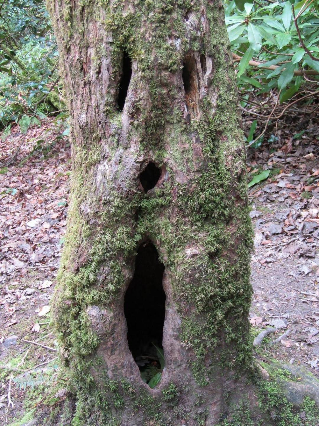 Appartamento Naehe Nationalpark Baiersbronn Esterno foto