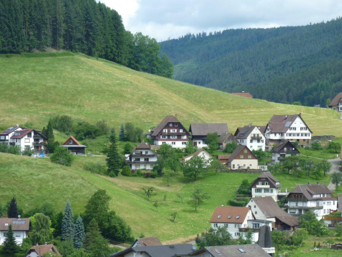 Appartamento Naehe Nationalpark Baiersbronn Esterno foto