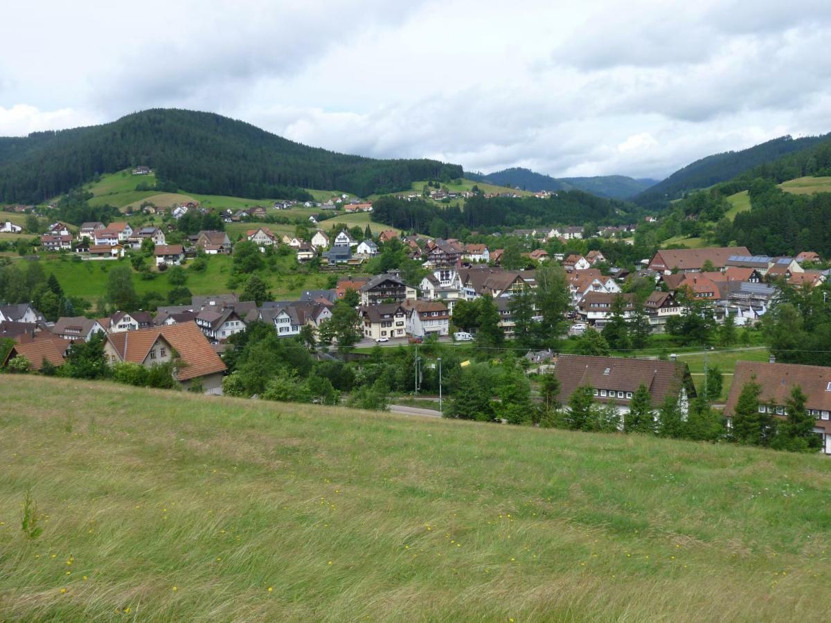 Appartamento Naehe Nationalpark Baiersbronn Esterno foto